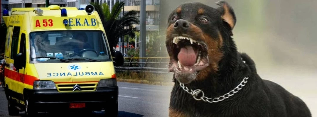 Γλυκά Νερά: Να πάρει πίσω το ροτβάιλερ θέλει η οικογένεια